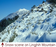 Snow scene on Lingjhih Mountain